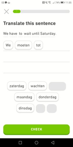 Duolingo search