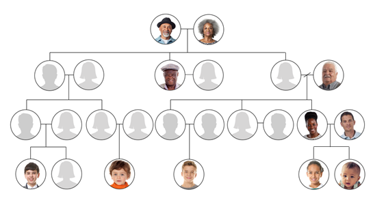 The Baines Family Tree: Year 1 Prototype